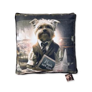 Coussin Chien École de Sylvain Binet 45x45cm
